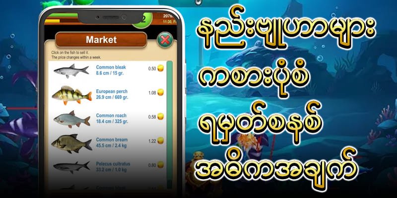 ငါးဖမ်းဂိမ်း နည်းဗျူဟာများ
